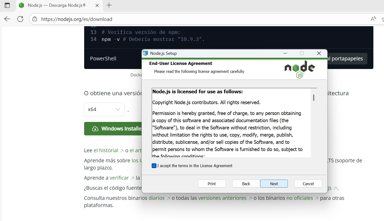 Node.js Screenshot 4